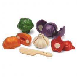 Plan Toys סט ירקות ב-5 צבעים