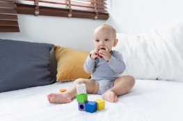 Plan Toys Activity Blocks