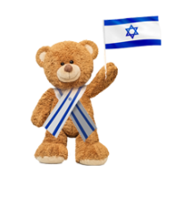 Chanukah Toy Drive