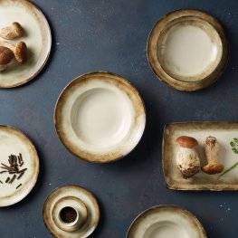 Arthur Krupp Earth Shade 12 pc-Dinner Set