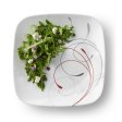 Corelle Splendor Square 18-pc Set